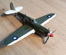 Fighter Model 1